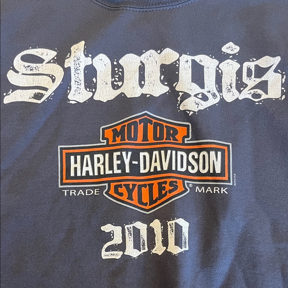 Vintage Harley-Davidson Sturgis‎ 2010 Crewneck Size S